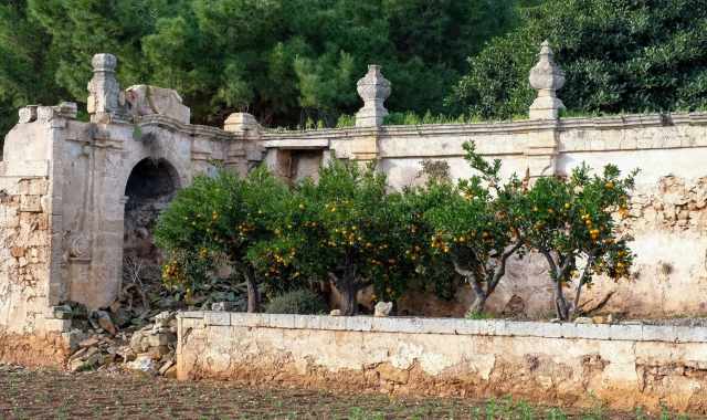 Affacciati sul parcheggio di Polignano i resti di una masseria seicentesca: Starsa Nuova